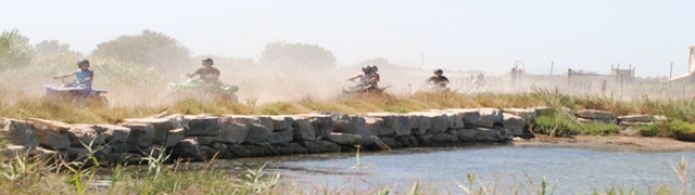  Ruta en cuatrimoto por la Camarga 